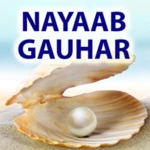 nayaab gauhar android application logo